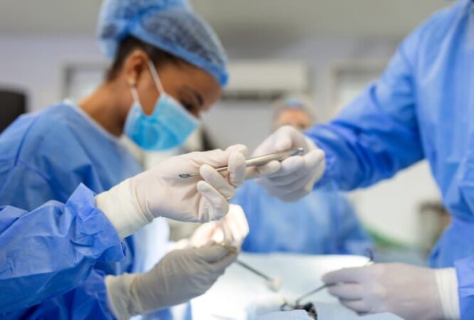 الصورة المصغرة للدورة